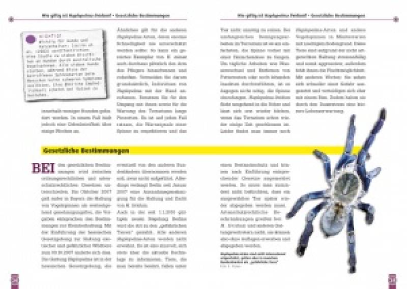 Die Blaue Thai-Vogelspinne